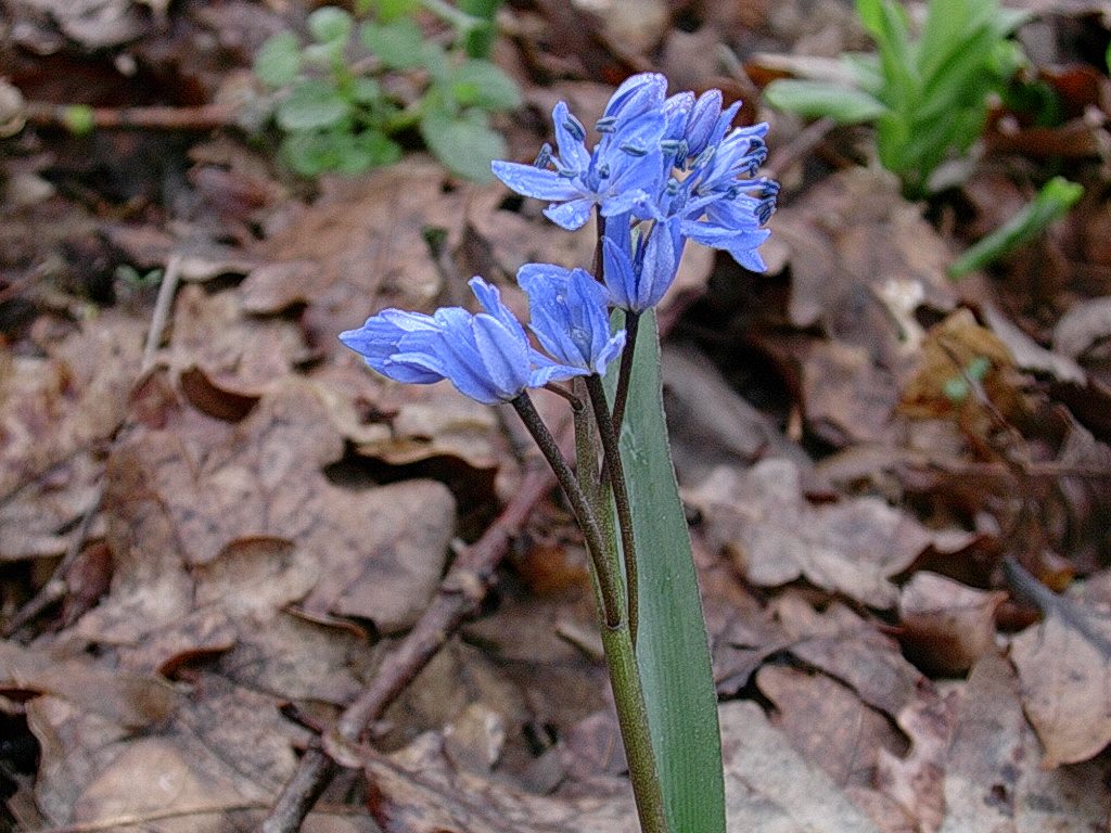 10 Aprile vecchio ritrovamento